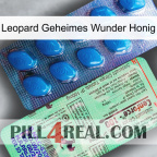 Leopard Secret Miracle Honey new02